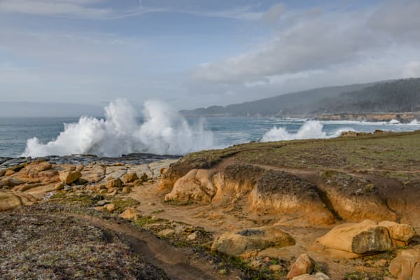 Stump Beach Photography Art | Sonoma Fine Photography
