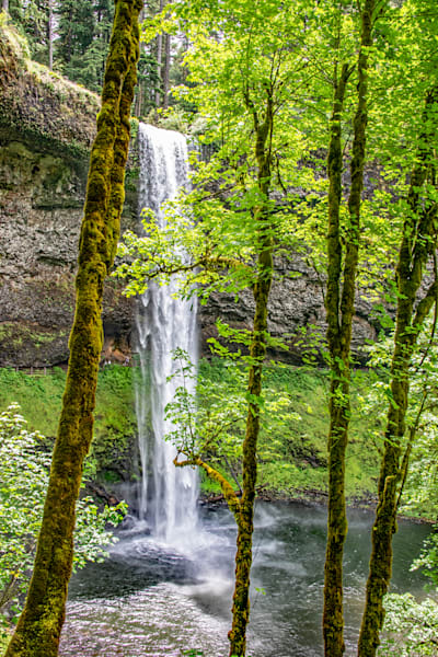 Silver Falls Photography Art | Sonoma Fine Photography