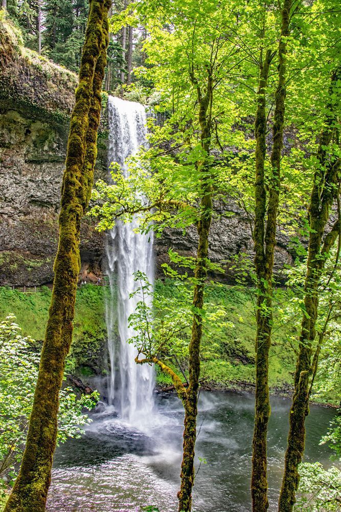 Silver Falls Photography Art | Sonoma Fine Photography