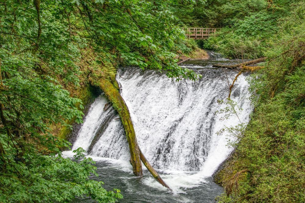 Silver Falls Photography Art | Sonoma Fine Photography