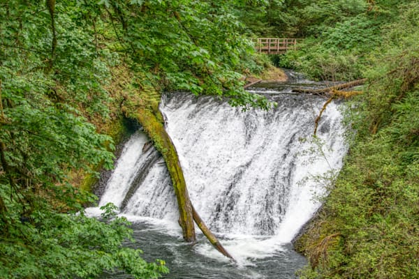 Silver Falls Photography Art | Sonoma Fine Photography