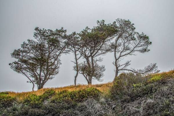 Traces On The Gentle Slope Photography Art | Sonoma Fine Photography