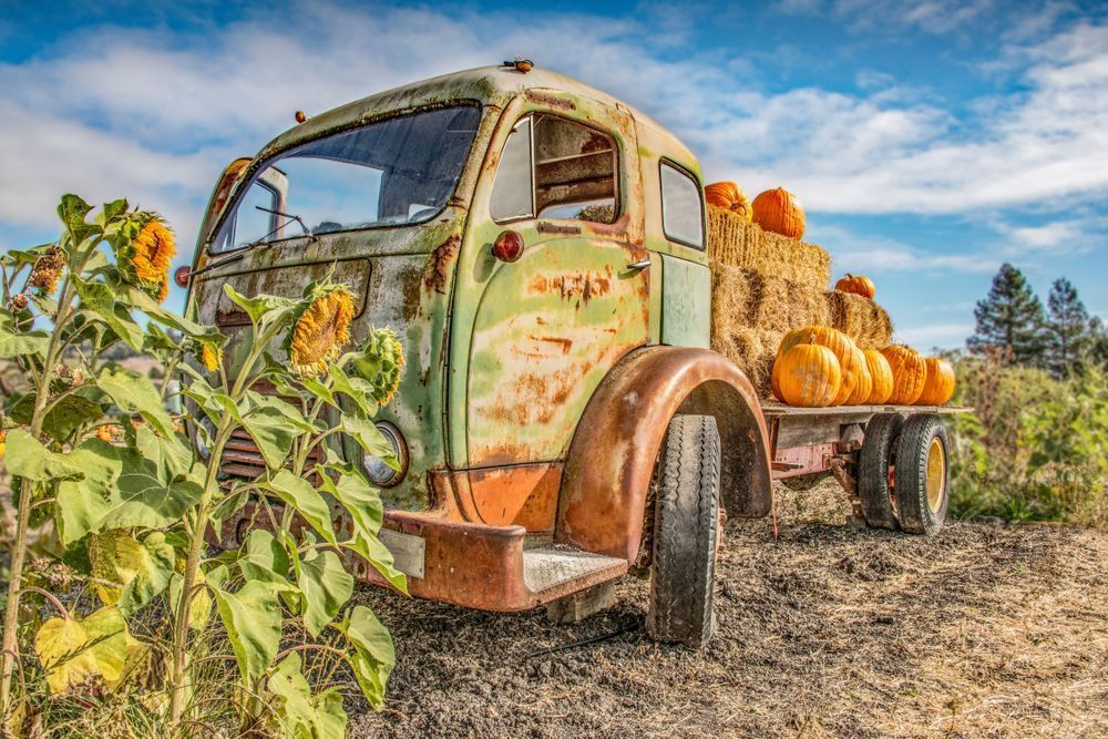 Pumpkin Truck 2025 Photography Art | Sonoma Fine Photography