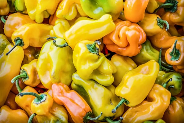 Peppers Of Provence Photography Art | Sonoma Fine Photography