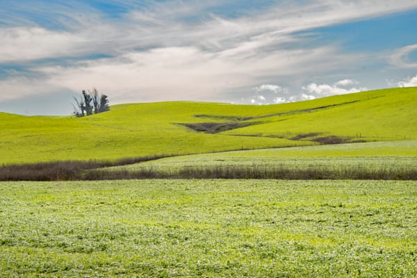 Grassy Horizons Of Petaluma Photography Art | Sonoma Fine Photography