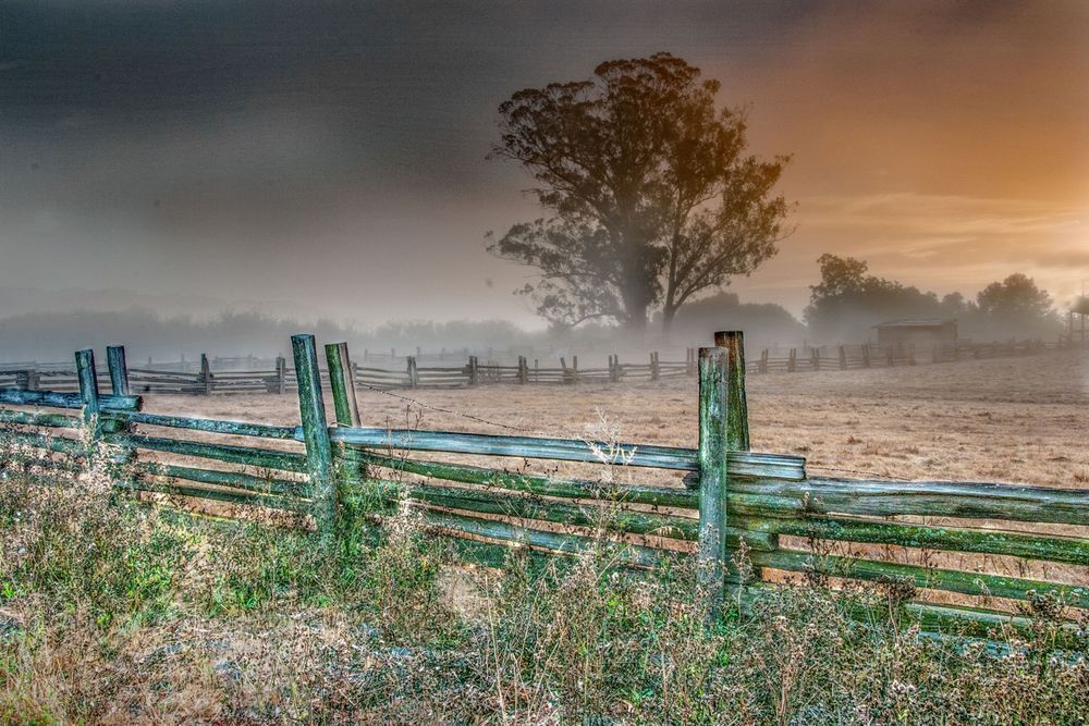 Petaluma Morning Photography Art | Sonoma Fine Photography
