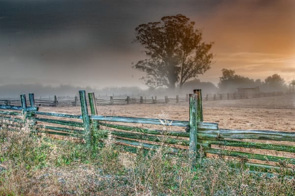 Petaluma Morning Photography Art | Sonoma Fine Photography