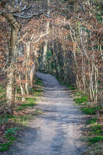 Silent Passage Photography Art | Sonoma Fine Photography