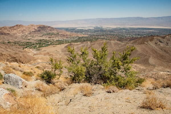 Palm Desert Photography Art | Sonoma Fine Photography