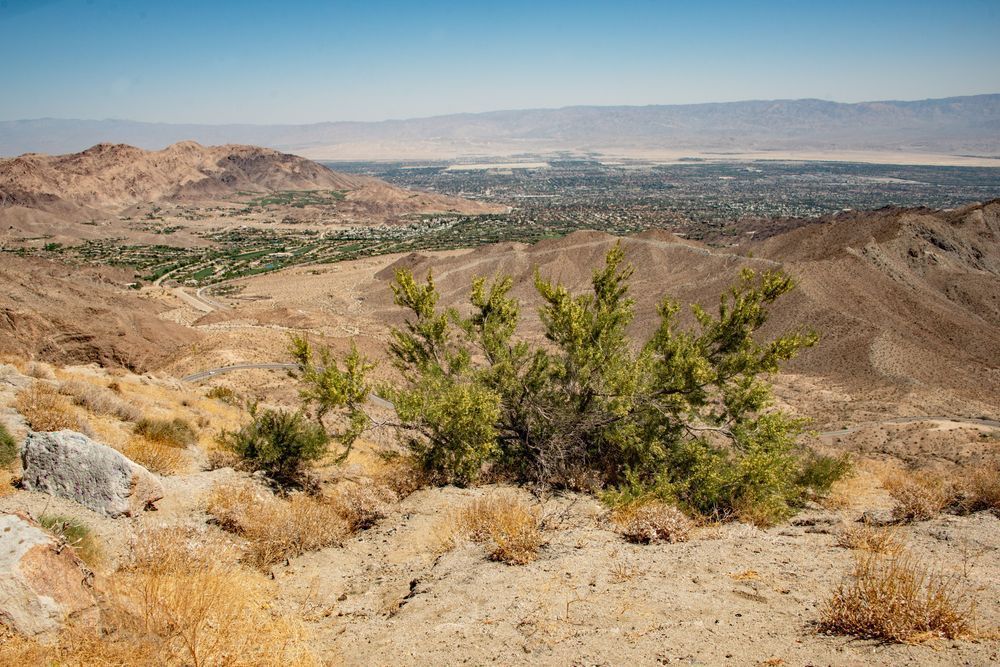 Palm Desert Photography Art | Sonoma Fine Photography