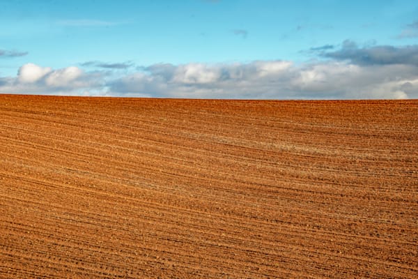 Plowed Field Photography Art | Sonoma Fine Photography