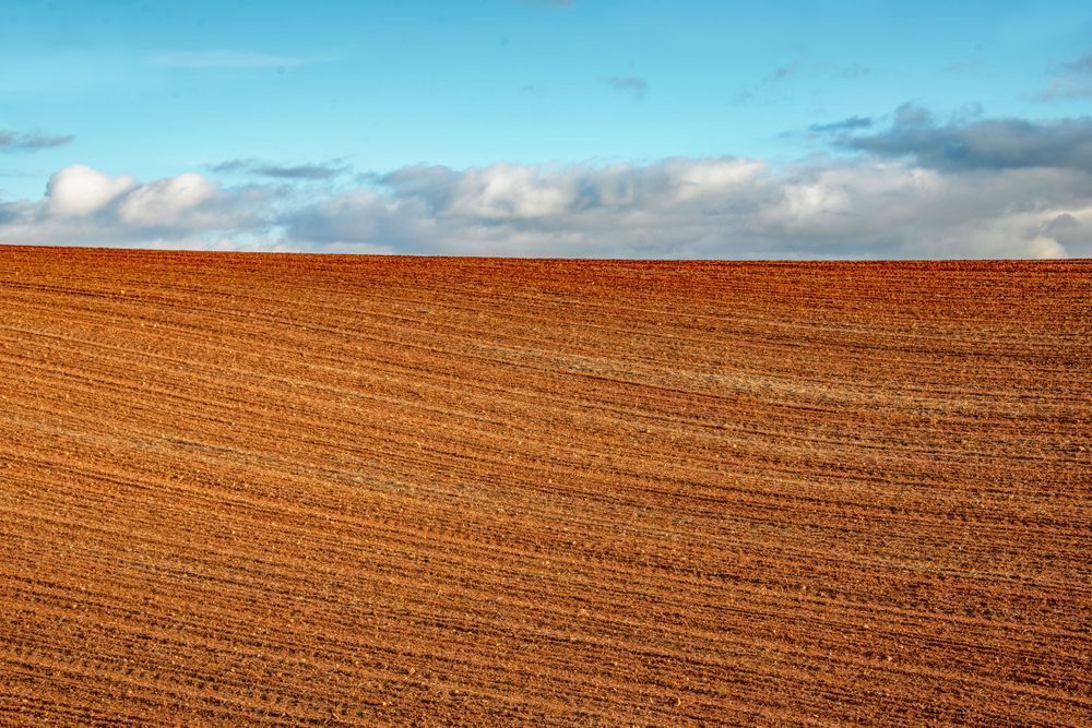 Plowed Field Photography Art | Sonoma Fine Photography
