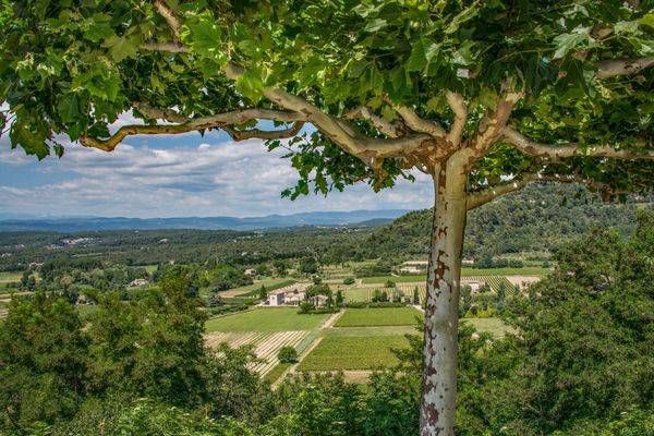 Valley Of Bonnieux Photography Art | Sonoma Fine Photography