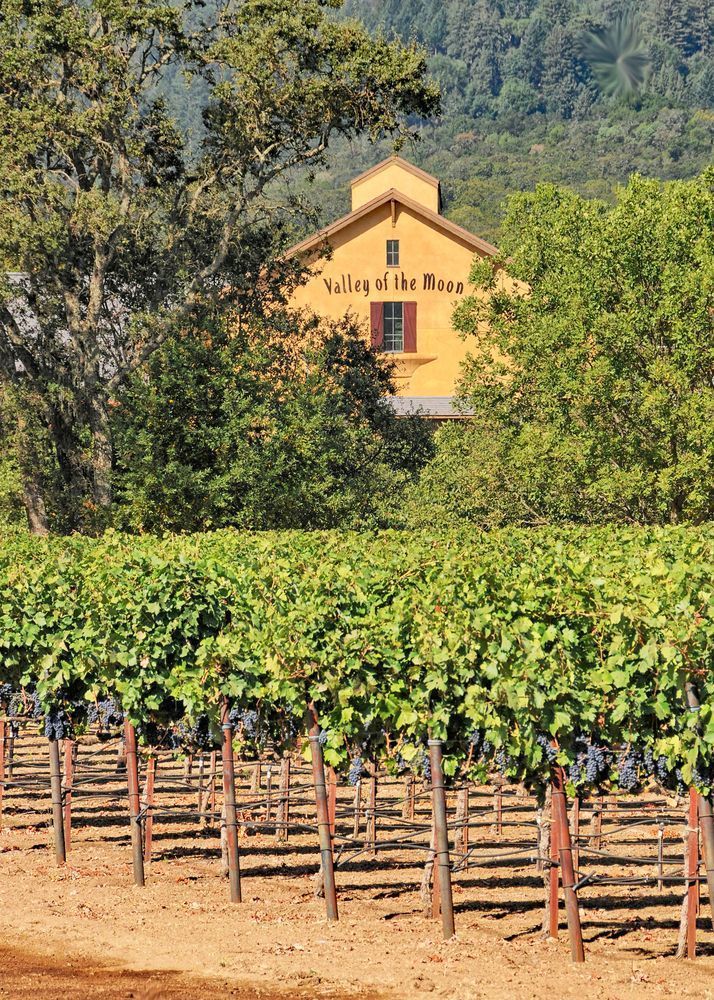 Valley Of The Moon Photography Art | Sonoma Fine Photography