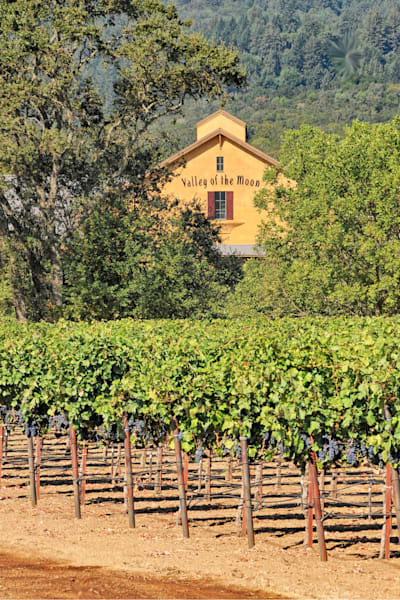 Valley Of The Moon Photography Art | Sonoma Fine Photography