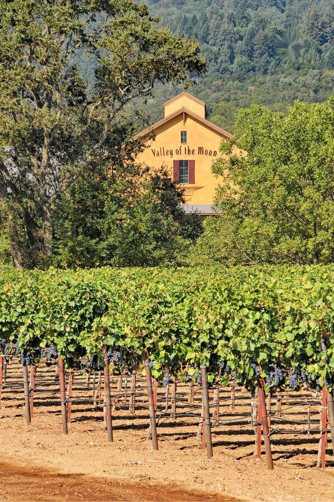 Valley Of The Moon Photography Art | Sonoma Fine Photography