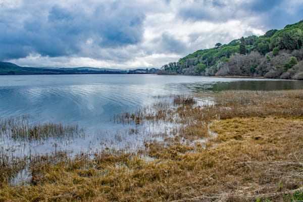 Werlands Of Tamales Bay Asf Photography Art | Sonoma Fine Photography