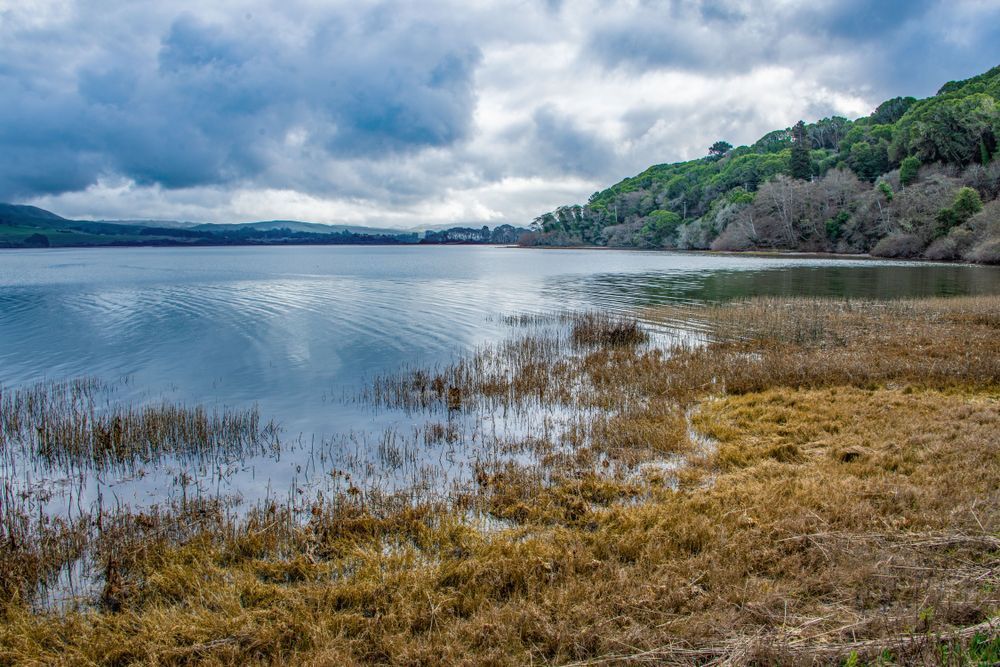 Werlands Of Tamales Bay Asf Photography Art | Sonoma Fine Photography