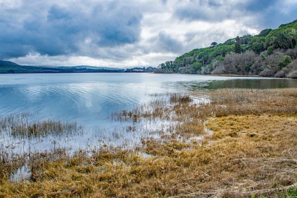 Wetlands Of Tomales Bay Photography Art | Sonoma Fine Photography