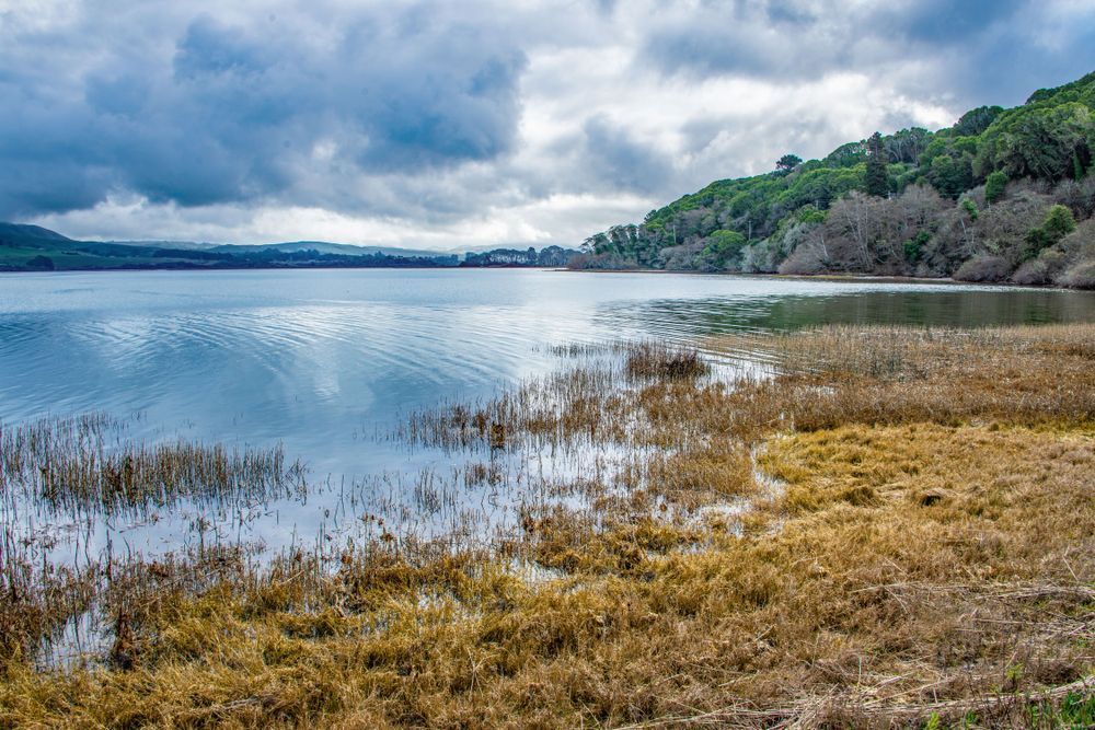 Wetlands Of Tomales Bay Photography Art | Sonoma Fine Photography