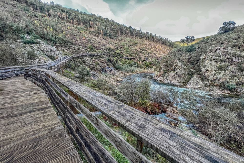 Nature's Winding Walkway Photography Art | Sonoma Fine Photography