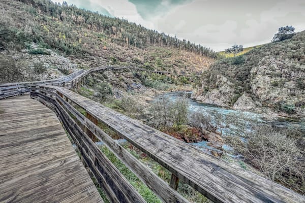 Nature's Winding Walkway Photography Art | Sonoma Fine Photography