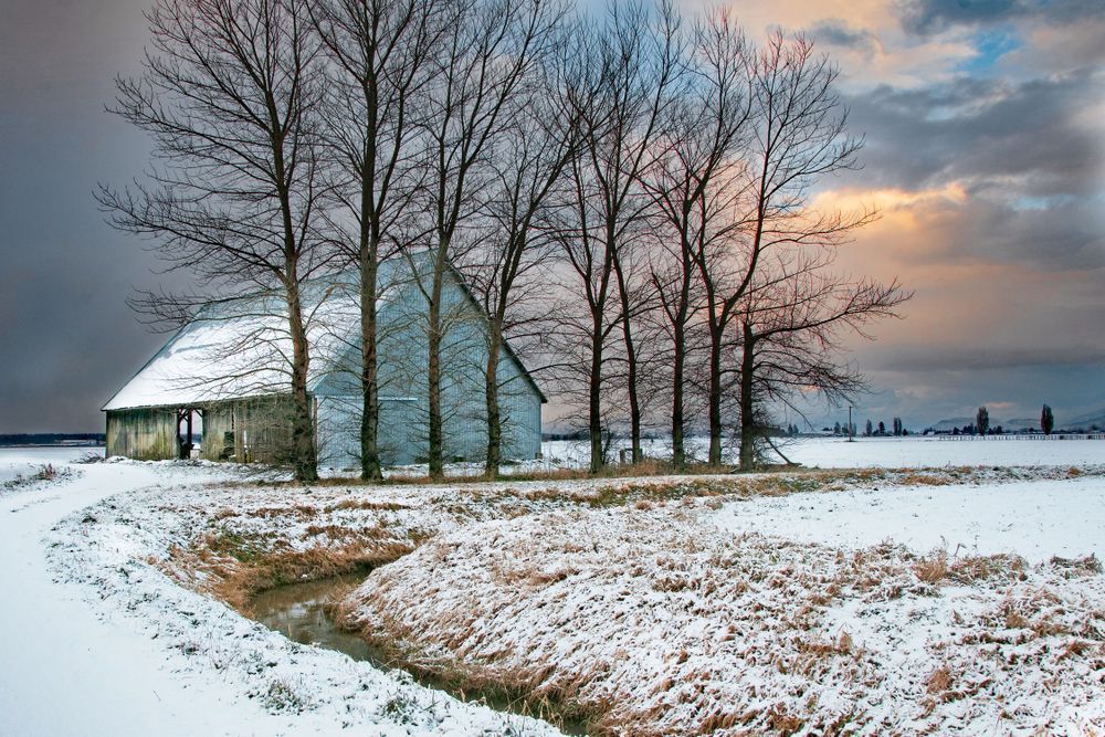 McLean Barn in Winter
