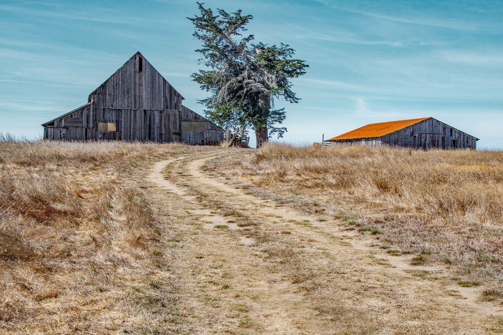 Road Through A Silent Field Photography Art | Sonoma Fine Photography
