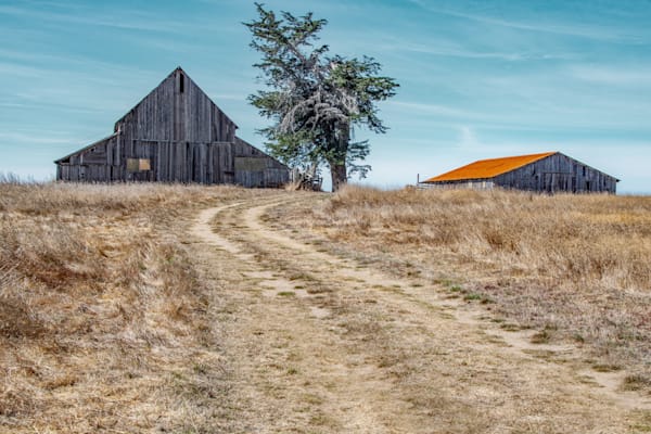 Road Through A Silent Field Photography Art | Sonoma Fine Photography