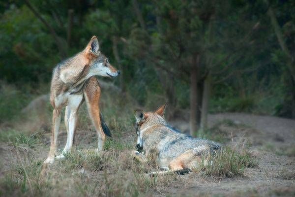 Silence Vigil Photography Art | Sonoma Fine Photography