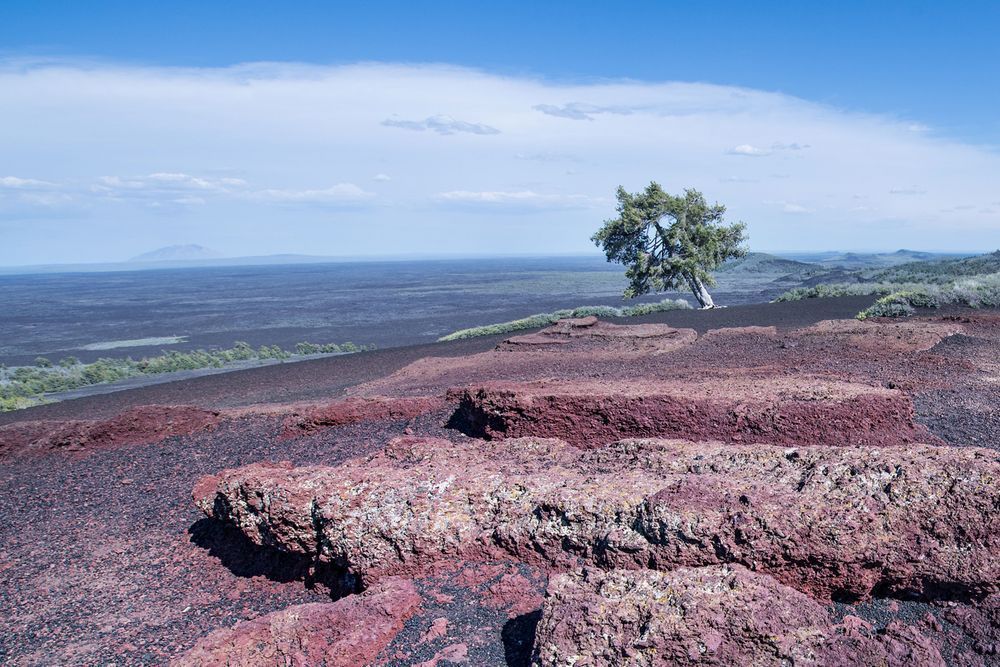 Crimson Earth Photography Art | Sonoma Fine Photography