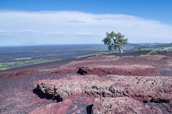 Crimson Earth Photography Art | Sonoma Fine Photography