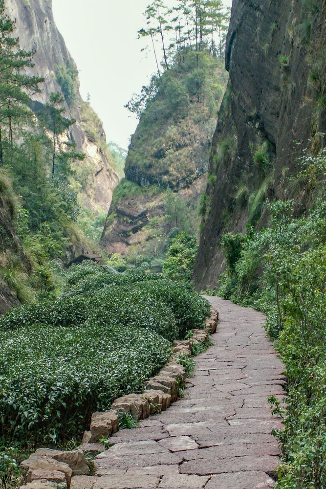 Pathway To Wuyi Photography Art | Sonoma Fine Photography