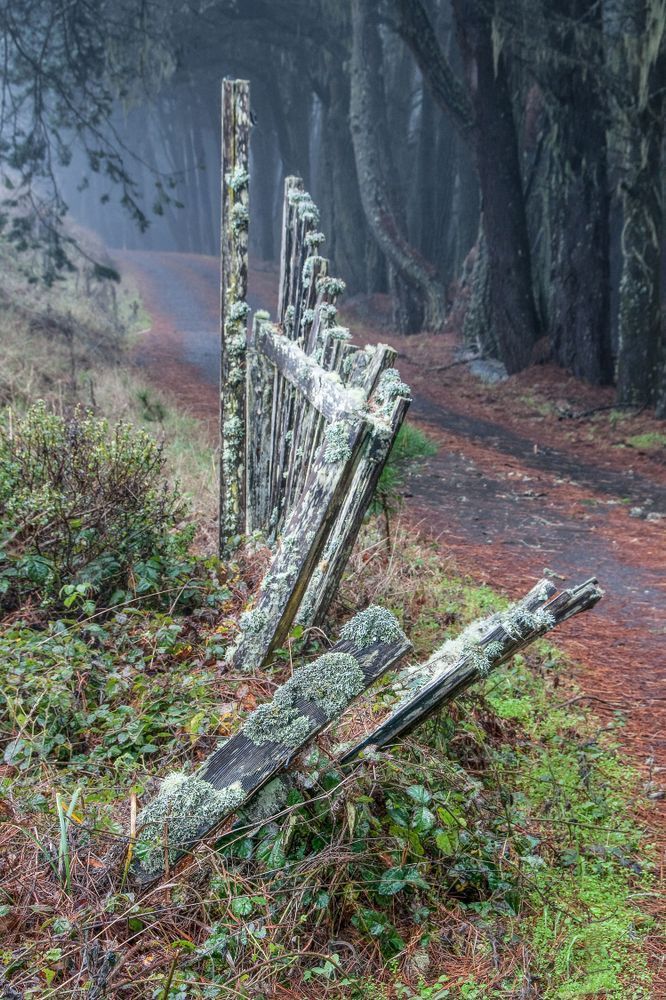 Tired Fence Photography Art | Sonoma Fine Photography