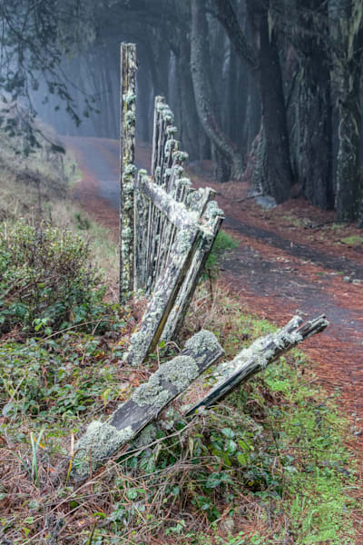 Tired Fence Photography Art | Sonoma Fine Photography