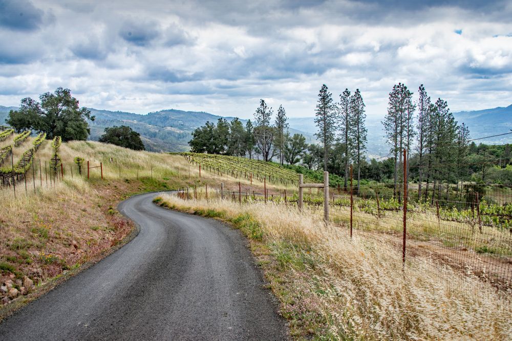 Upper Nelligan Road Photography Art | Sonoma Fine Photography