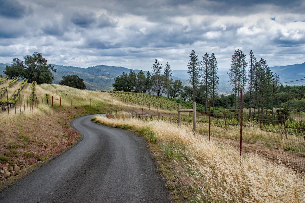 Upper Nelligan Road Photography Art | Sonoma Fine Photography