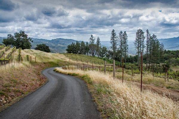 Upper Nelligan Road Photography Art | Sonoma Fine Photography