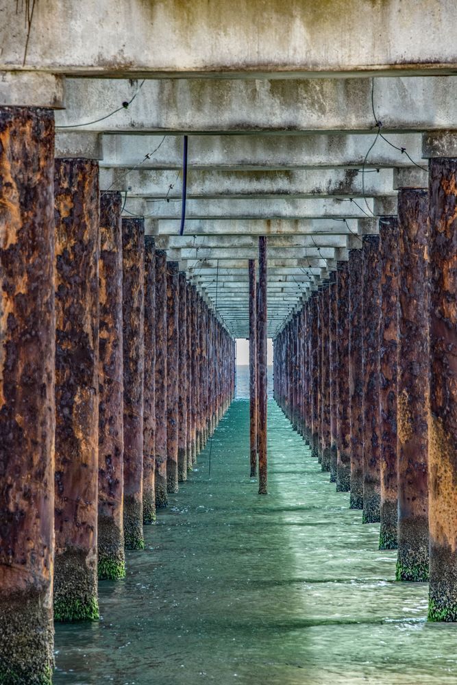 Under The Wharf Photography Art | Sonoma Fine Photography