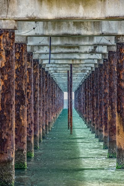 Under The Wharf Photography Art | Sonoma Fine Photography