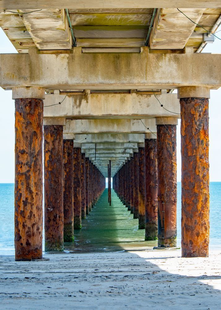 Under The Wharf Ii Photography Art | Sonoma Fine Photography