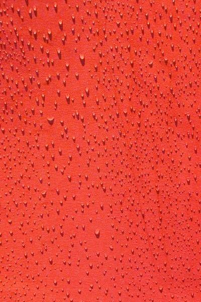 Under The Unbrella Photography Art | Sonoma Fine Photography