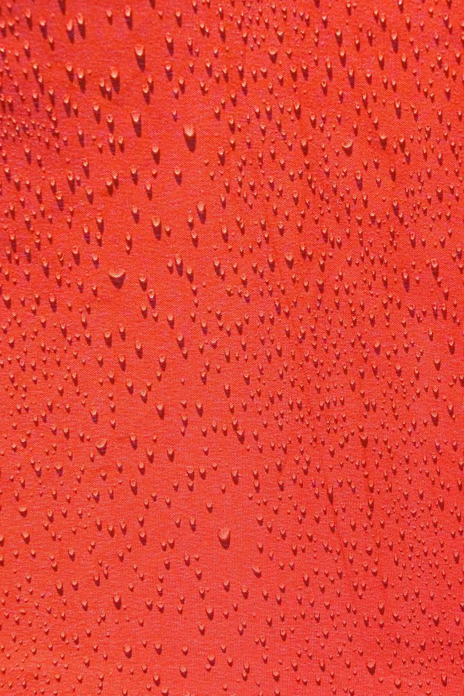 Under The Unbrella Photography Art | Sonoma Fine Photography