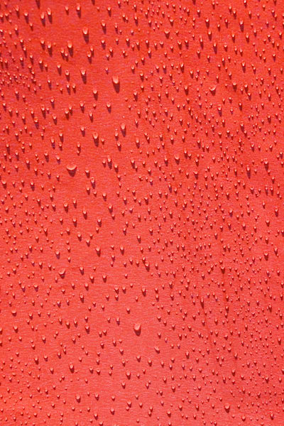 Under The Unbrella Photography Art | Sonoma Fine Photography