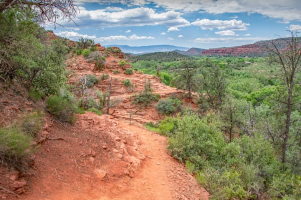 Winding Path Of Sedona Photography Art | Sonoma Fine Photography