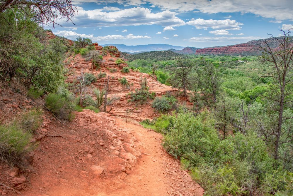 Winding Path Of Sedona Photography Art | Sonoma Fine Photography