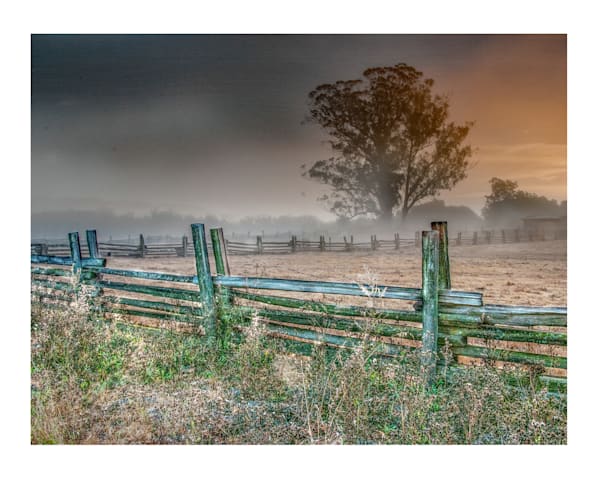 X Petaluma Morning Photography Art | Sonoma Fine Photography