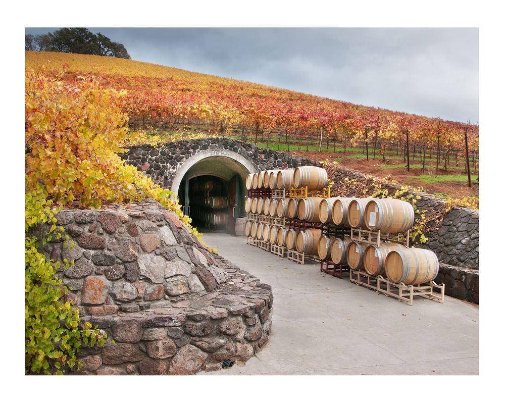 X Wine Cave Photography Art | Sonoma Fine Photography
