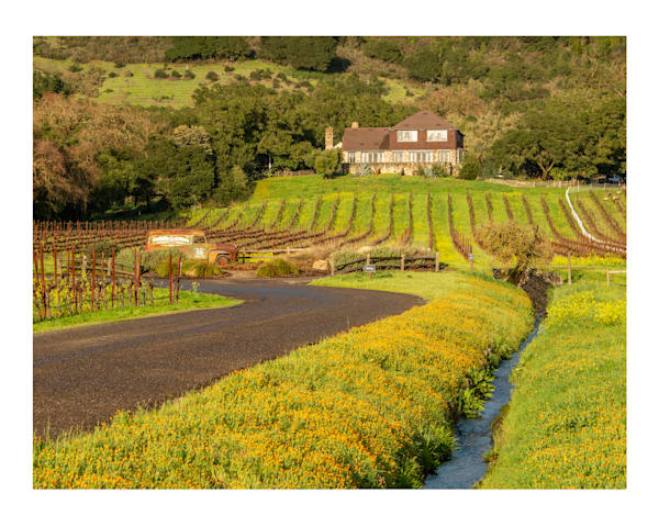 X Mary S House Photography Art | Sonoma Fine Photography
