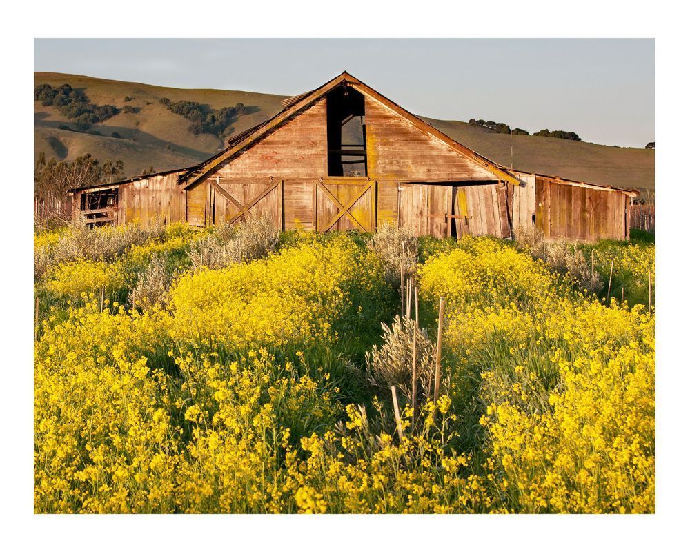 Y Arnold Barn Photography Art | Sonoma Fine Photography